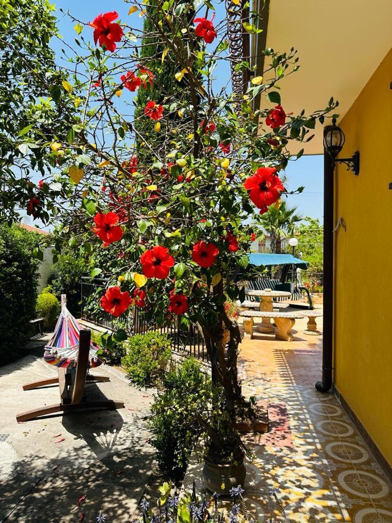 Villa Sicels - Agnone Beach - Syracuse Agnone Bagni Eksteriør billede